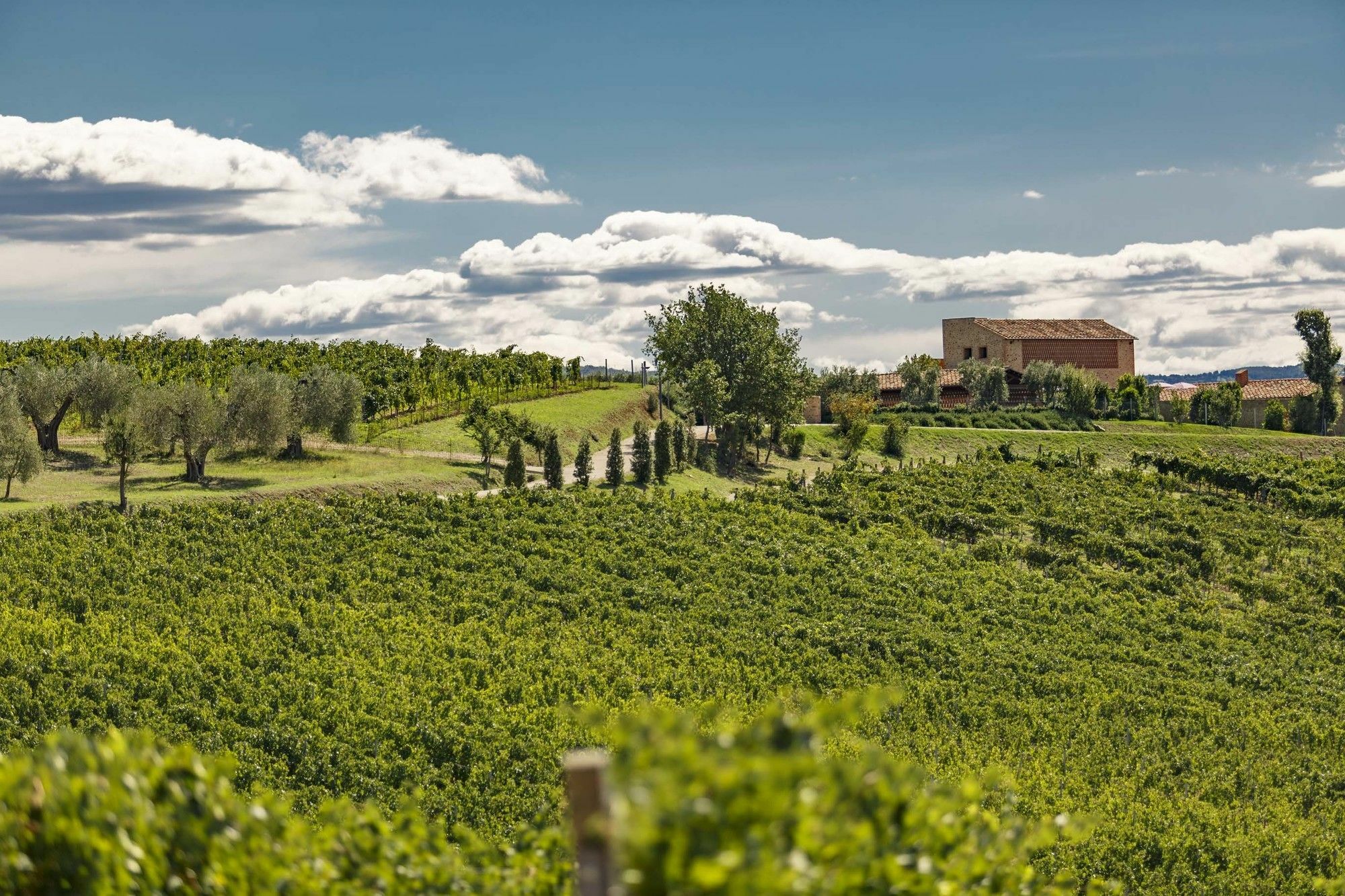 Pecora Vecchia - Collemassari Hospitality Villa Cinigiano Exterior photo